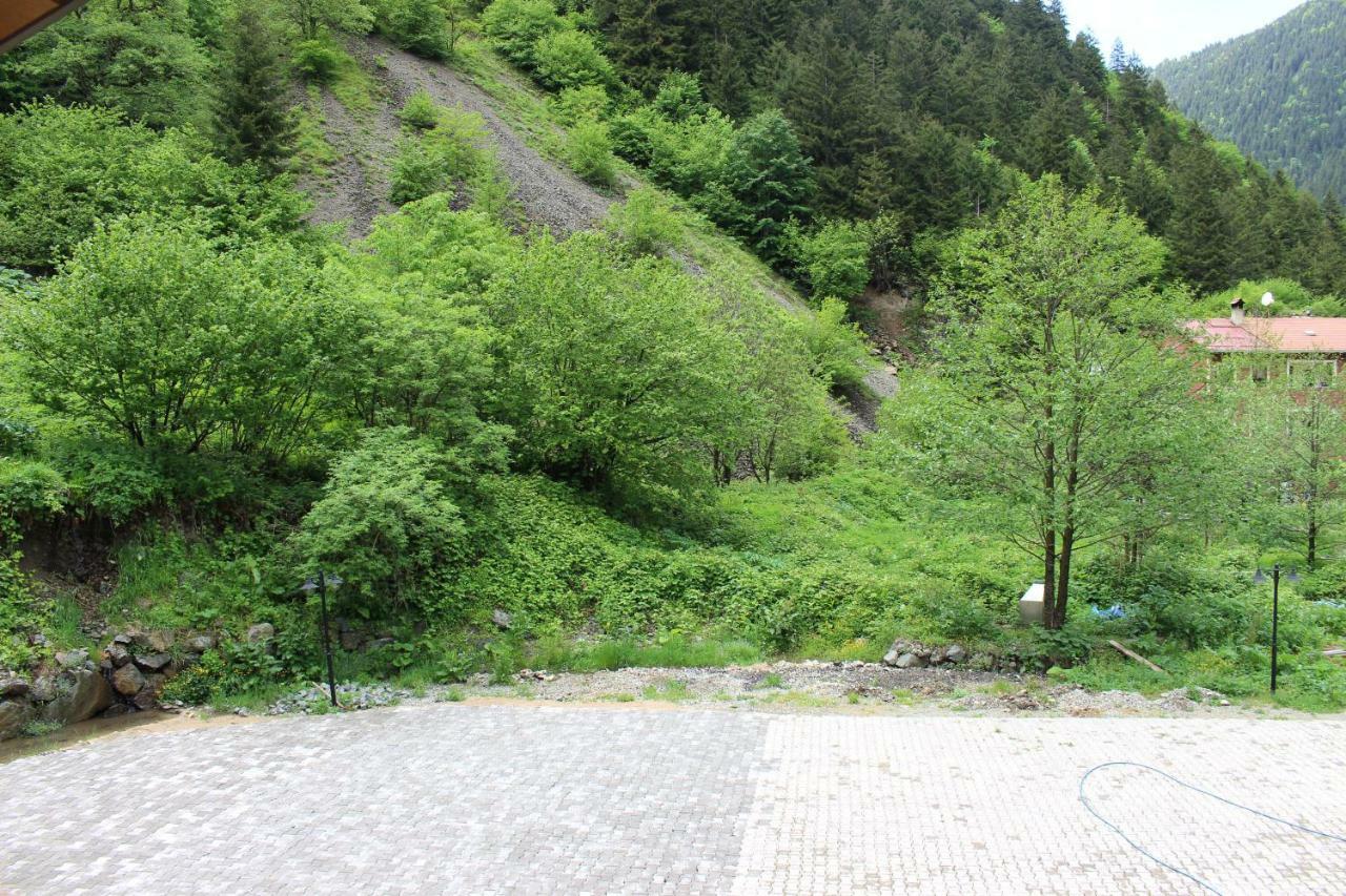 Uzungol Selale Otel Bungalow Bagian luar foto